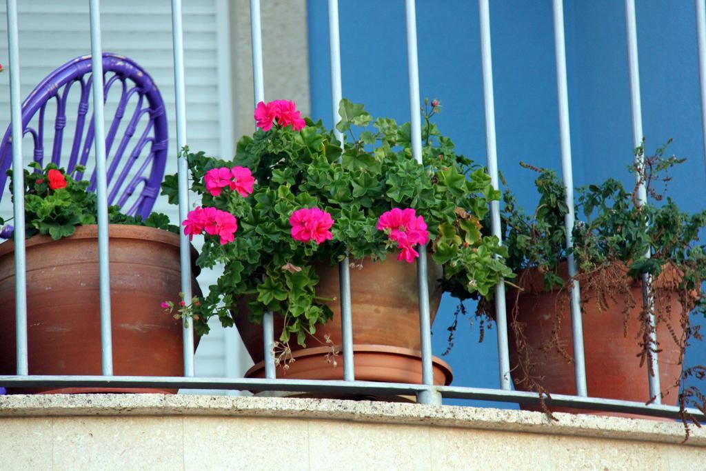 Casa Laureana